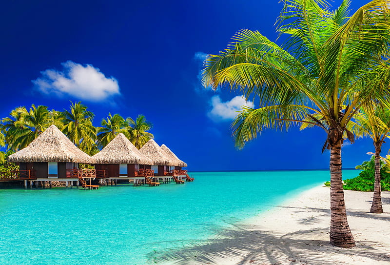 Maldives, rest, vacation, exotic, lovely, ocean, villa, sky, Maldeves, palms, sea, beach, paradise, summer, tropics, blue, HD wallpaper