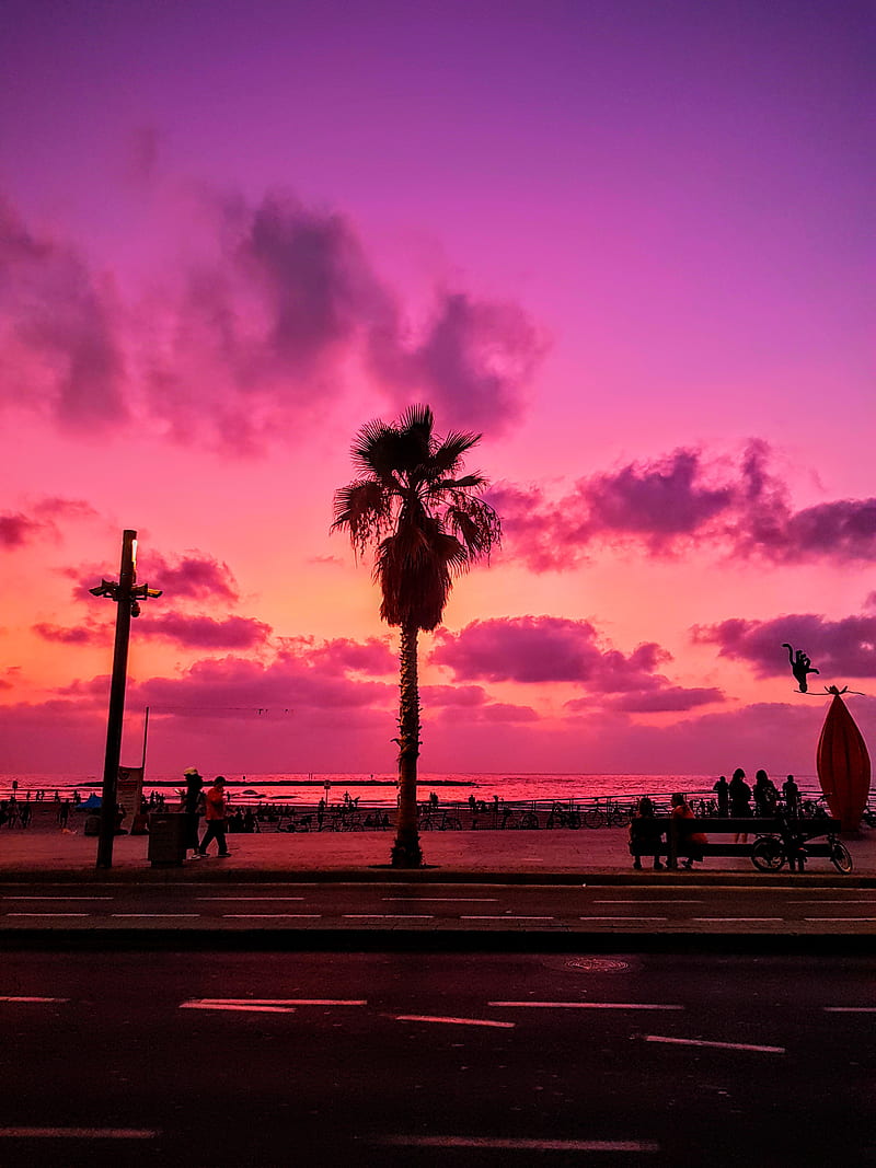 Scenic View Of Ocean During Dawn, HD phone wallpaper
