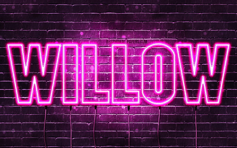 Willow with names, female names, Willow name, purple neon lights, horizontal text, with Willow name, HD wallpaper