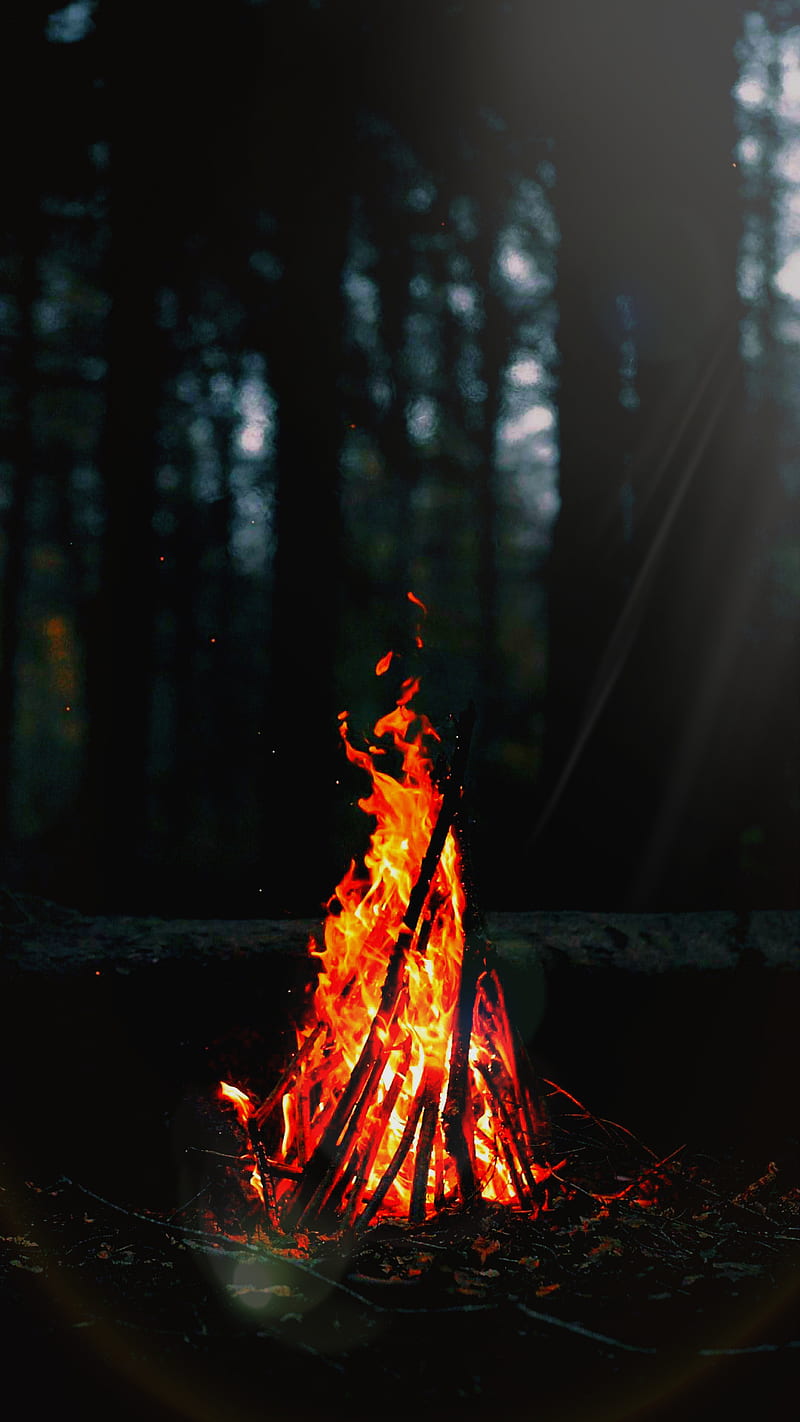 Camp fire, bon fire, camp, fire, forest, lit, nature, HD phone wallpaper