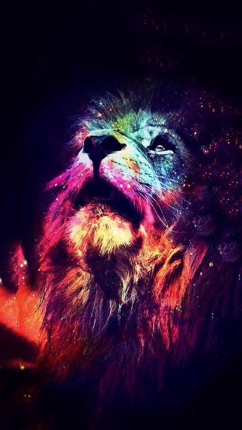 lion rainbow, lion, rainbow, space, HD phone wallpaper