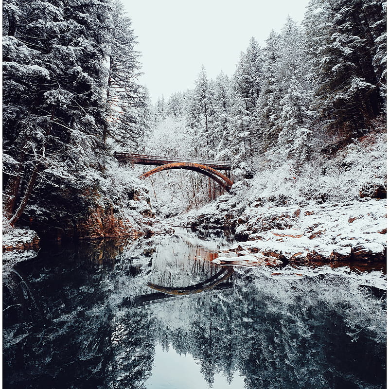 bridge, river, snow, winter, landscape, HD phone wallpaper