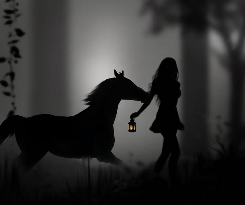 *Shadows in the night...*, candle, lantern, dark woods, silhouettes, black and white, black, horse, fog, girl, darkness, dark, shadows, walking, white, night, HD wallpaper