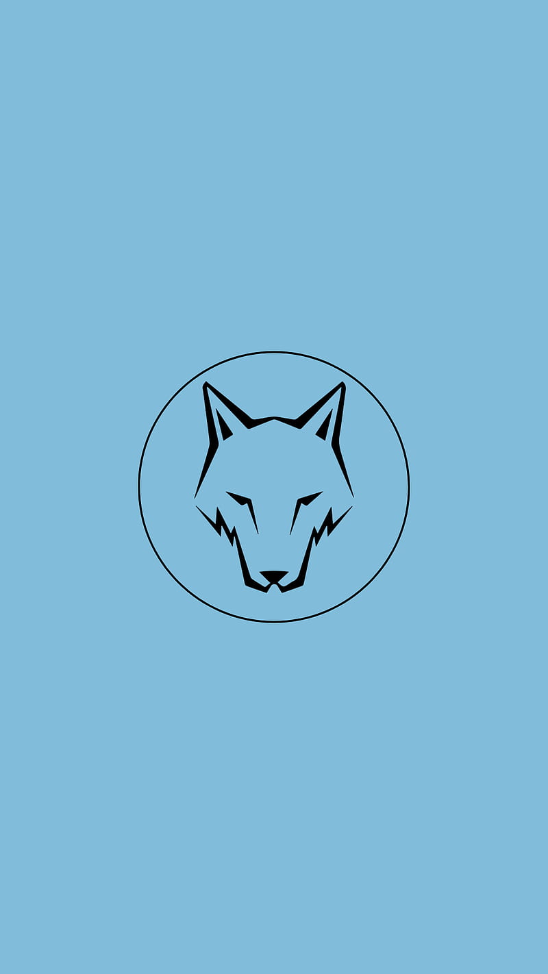 Wolf, animal, black, blue, minimal, HD phone wallpaper