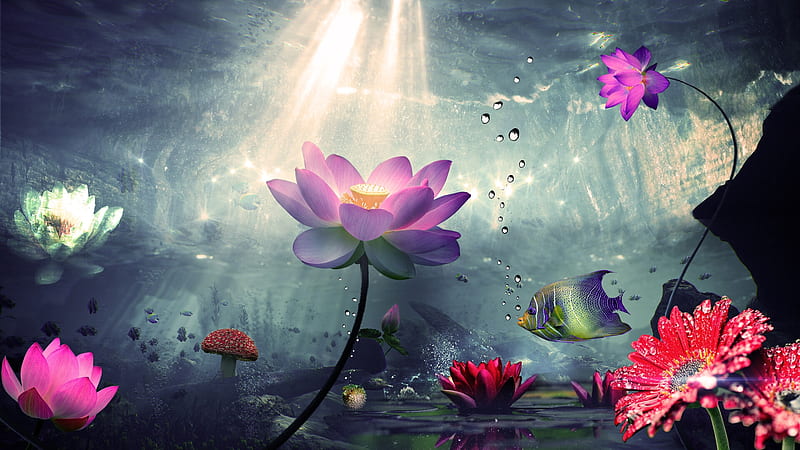 Underwater lotus, summer, flower, watewr, pink, underwater, lotus, fish, luminos, akshay sahu, fantasy, vara, pesti, HD wallpaper