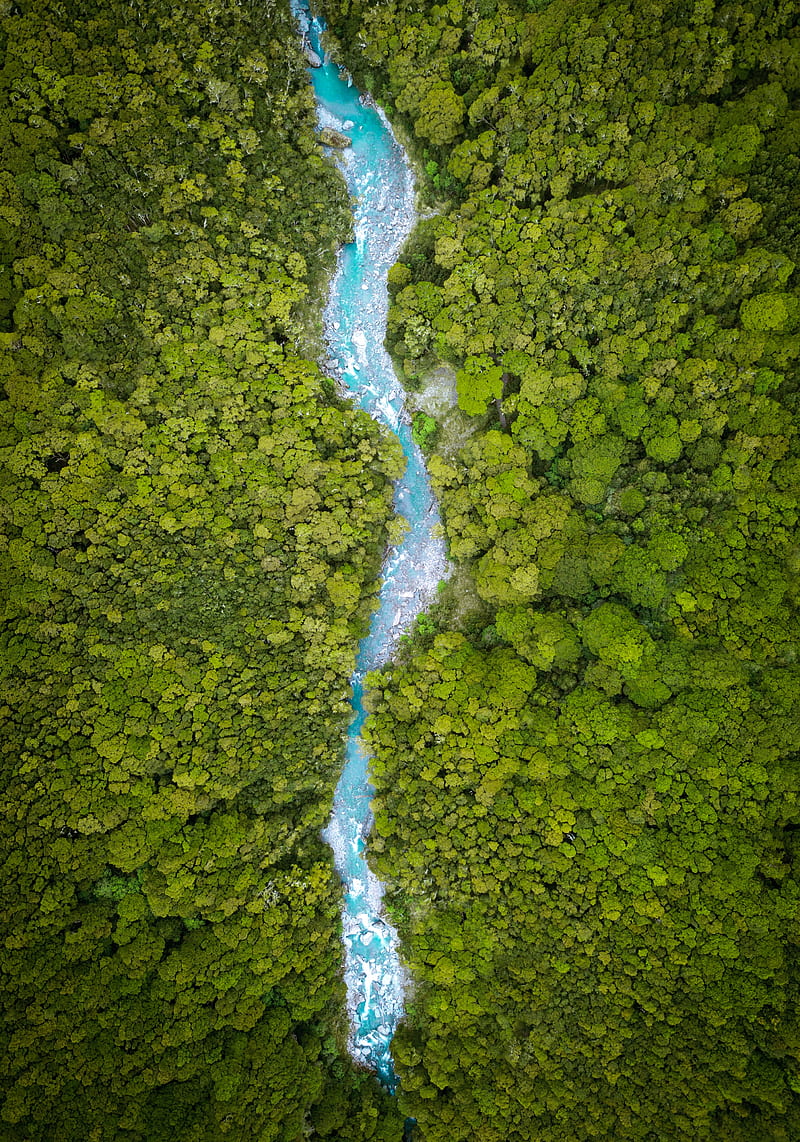 nature, water, landscape, drone , river, forest, HD phone wallpaper