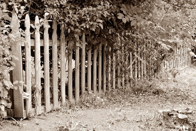 Memories Of Yesteryear, antique fence, old fence, vintage fence, HD wallpaper