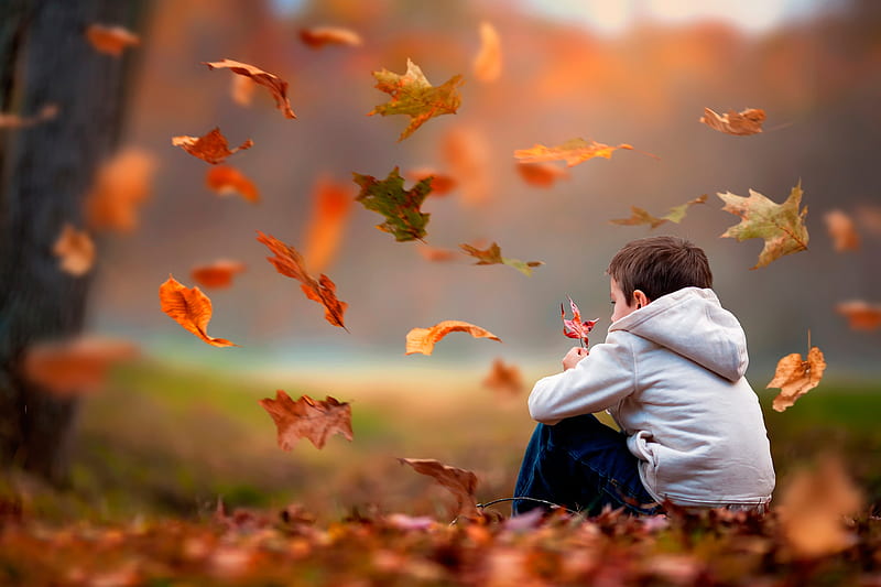 Autumn, Leaves, Boy, Children, HD wallpaper