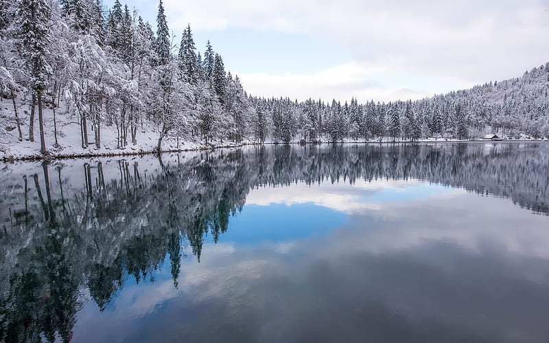 winter landscape, lake, snow, trees, blue sky, frost, winter, HD wallpaper