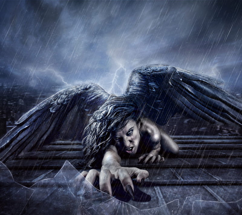 Fallen Angel in Rain, angry, black, dark, goth, gothic, wings, HD wallpaper