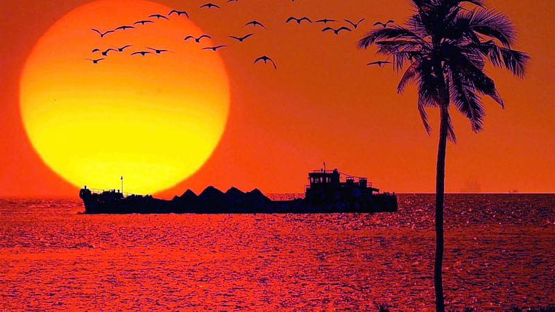 Country Goa India World Sunset Ship, Water, Ship, India, Sunset, HD wallpaper