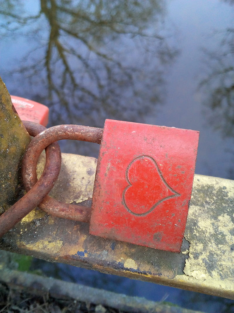A love closed locked, life, live, lock, love , padlock, HD phone wallpaper