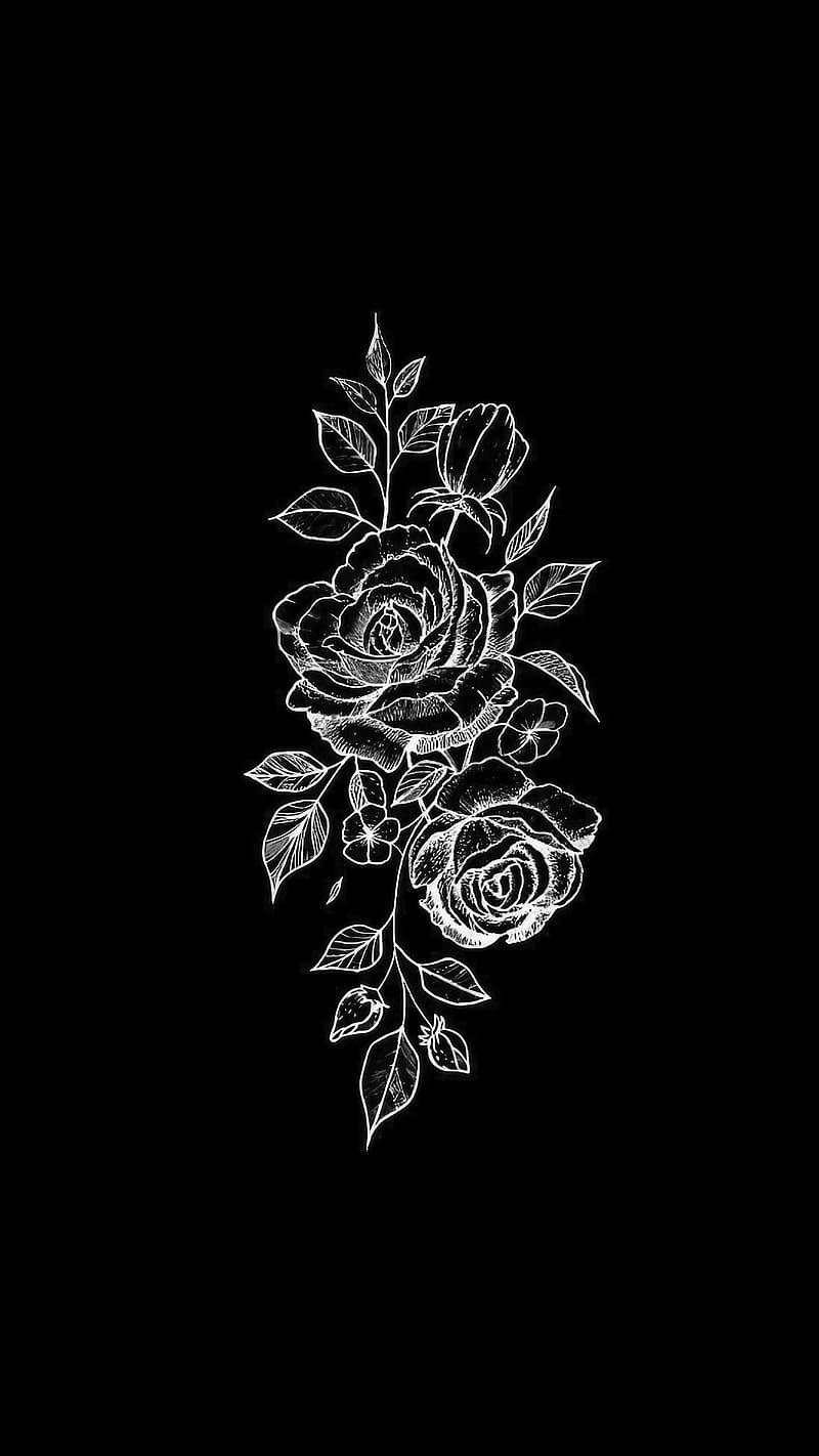 Black And White Rose, Roses, Black Background, flower, HD phone ...