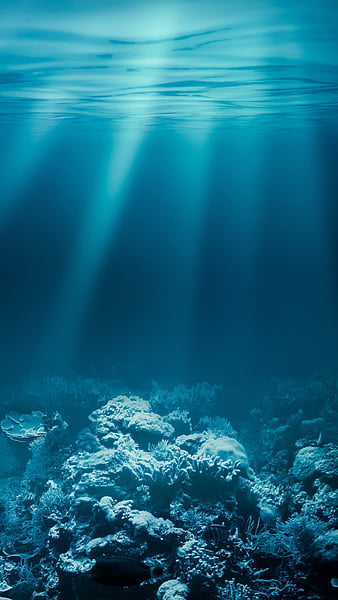 Underwater, earth, ocean, sea, under, water, HD phone wallpaper | Peakpx