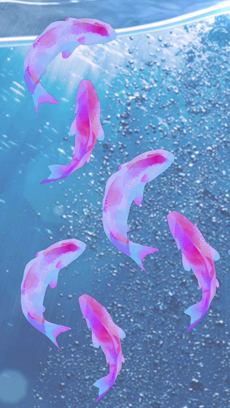Pink carp , fish, pond, sea, swimming, under, water, HD phone wallpaper
