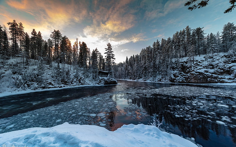 Earth, River, Forest, Ice, Snow, Winter, HD wallpaper