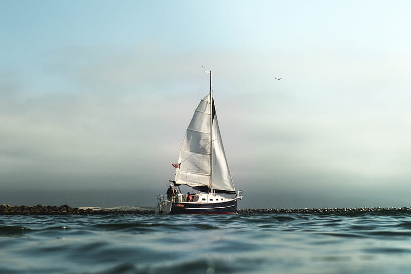 white and black sailboat on calm water, HD wallpaper