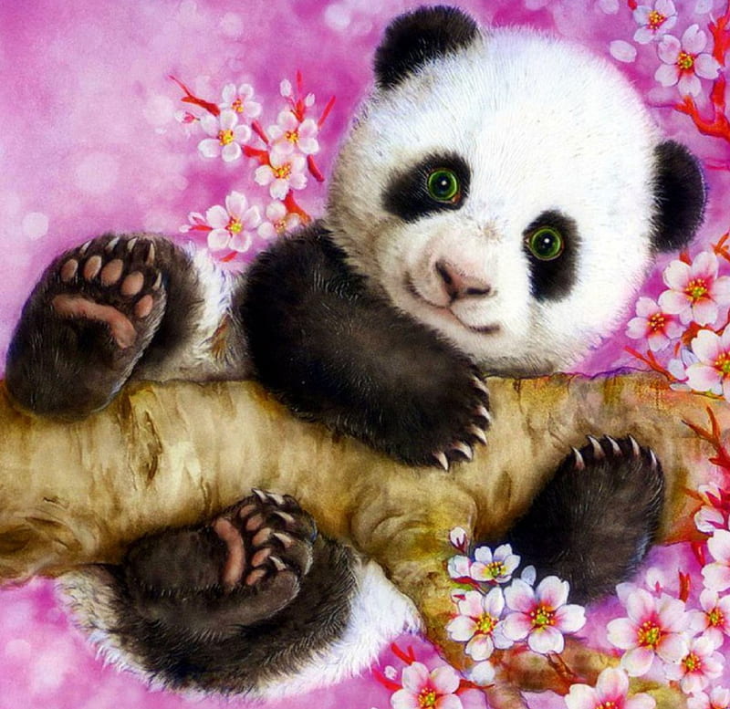 season spring clipart panda