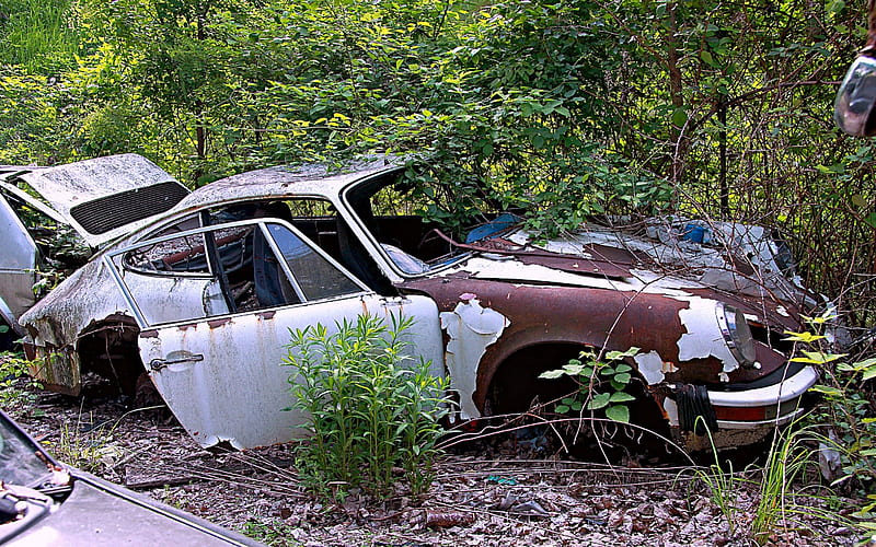 Used Porsche for Sale......Cheap!, Porsche, Trees, carros, Wreck, HD wallpaper
