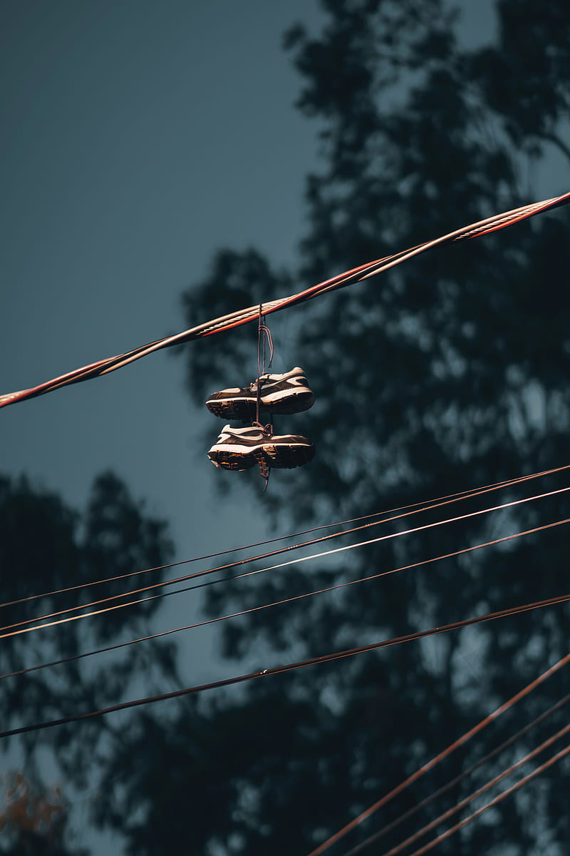 Wires Photos, Download The BEST Free Wires Stock Photos & HD Images