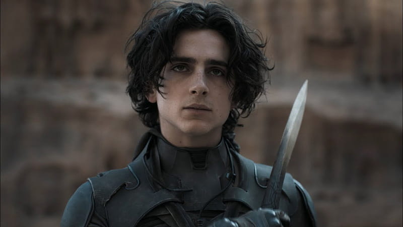 Paul Atreides - Paul's Visions In Movies Were Inspired By Denis Villeneuve's Own Experience With Drugs