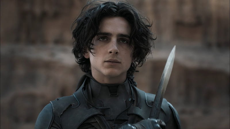 Paul Atreides - Paul's Visions In Movies Were Inspired By Denis ...