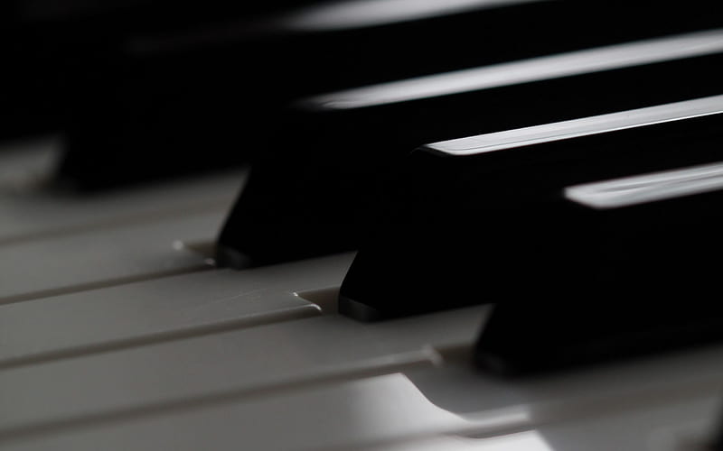 piano keys, monochrome, piano background, playing piano, musical instruments, piano, HD wallpaper