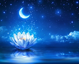 Blue 2024 moon flower