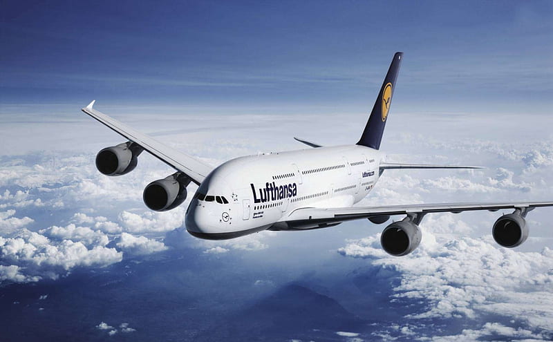 Airbus A380, aircraft, A380, commercial, fun, Airbus, HD wallpaper