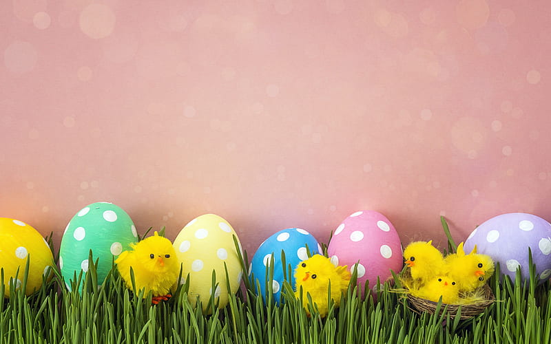 Spring decoration, pink background, Easter eggs, little chicken, Easter, HD wallpaper