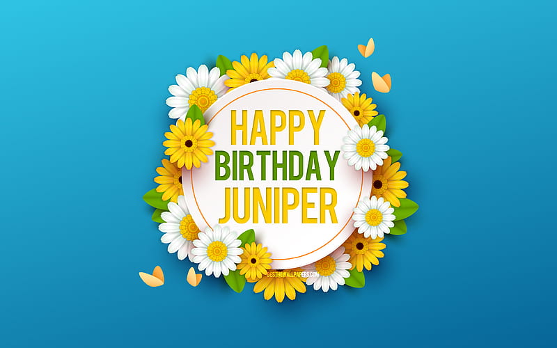 Happy Birtay Juniper Blue Background with Flowers, Juniper, Floral Background, Happy Juniper Birtay, Beautiful Flowers, Juniper Birtay, Blue Birtay Background, HD wallpaper
