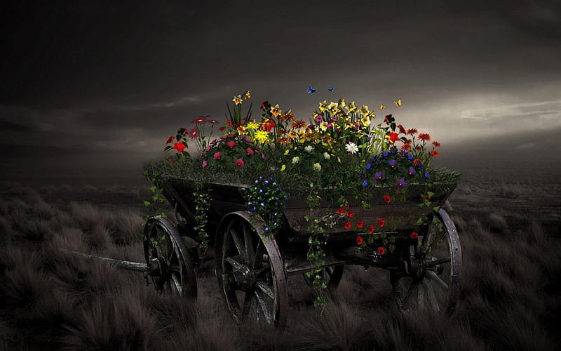 Flowers, autumn, flower, color, horse-drawn carriage, HD wallpaper