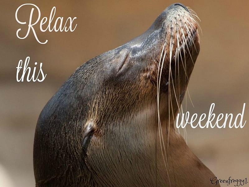 RELAX, WEEKEND, RELAX, WEEKEND, COMMENT, CREATION, HD wallpaper | Peakpx