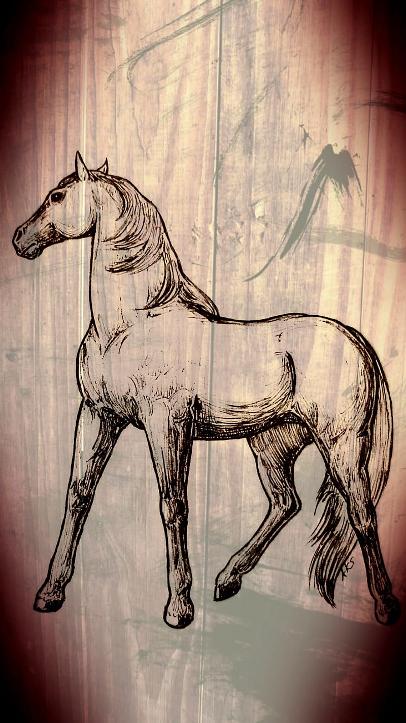 The Noble Horse, art, drawn, equine, horse, illustration, posed, rustic, stand, wood, HD phone wallpaper