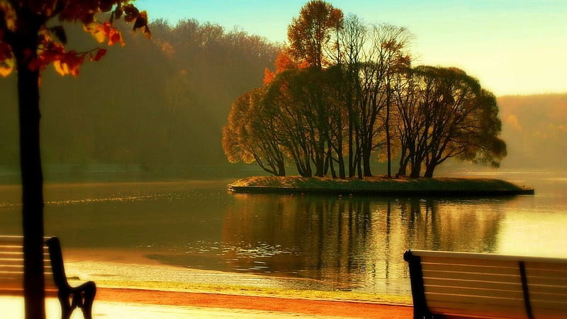 Lake Promenade, benches, island, reflection, trees, landscape, mist, HD wallpaper