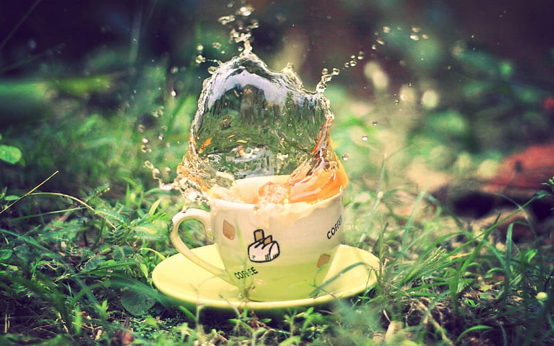 Splash Warm Tea Cup-High Quality, HD wallpaper