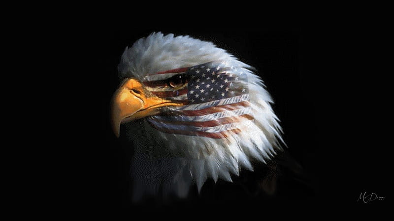 American Tears, Independecne Day, USA, Memorial Day, patriotic, eagle, American, Veterans Day, proud, United States, Memorial, sad, tears, 4th of July, pride, patriot, Firefox Persona theme, HD wallpaper