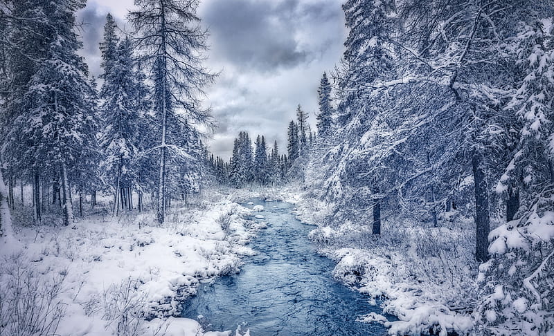 Winter in Quebec, Canada, snow, creek, clouds, sky, firs, HD wallpaper