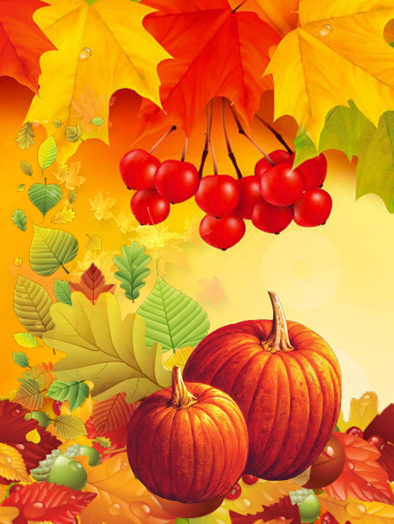 Jesien, autumn, color, leaf, nature, pumpkinabstract, HD phone ...