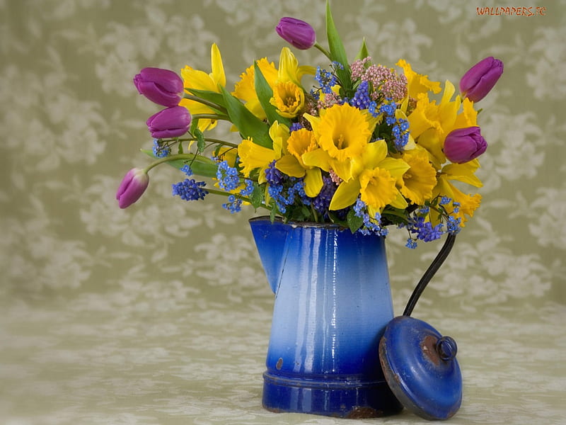 Spring Flower Arrangement, daffodils, yellow, coffee pot, lid, purple, flowers, tulips, blooms, kettle, pink, blue, HD wallpaper