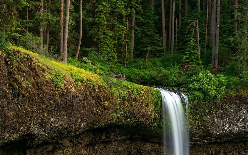 Silver Creek Falls Spring Marion County Oregon USA, HD wallpaper