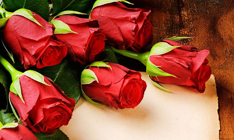 Rosas rojas, flor roja, rosas, flores rojas, flor, flores, rosa roja, papel,  Fondo de pantalla HD | Peakpx