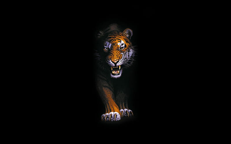Out of the Dark, dangerous, predator, wild, tiger, teeth, HD wallpaper