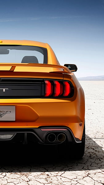 Mustang GT - Sarel van Staden on Fstoppers