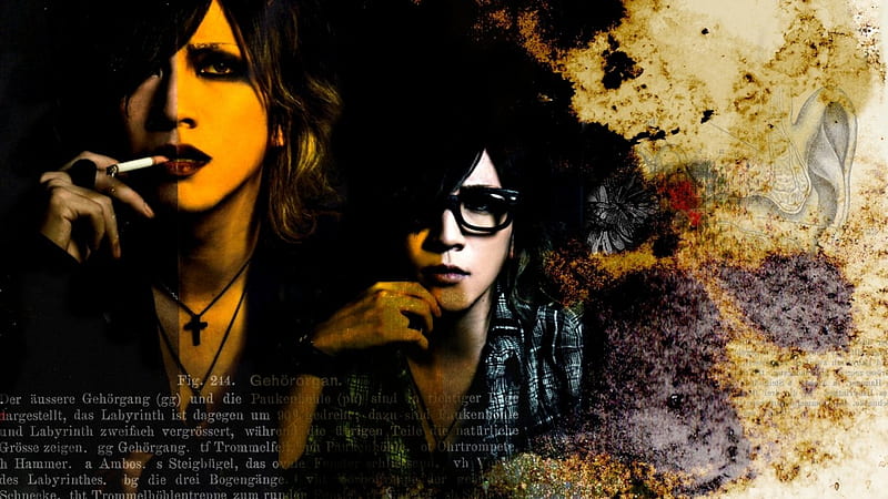 I'm filled with regret for my whole life, ruki, jrock, singer, the gazette, HD wallpaper