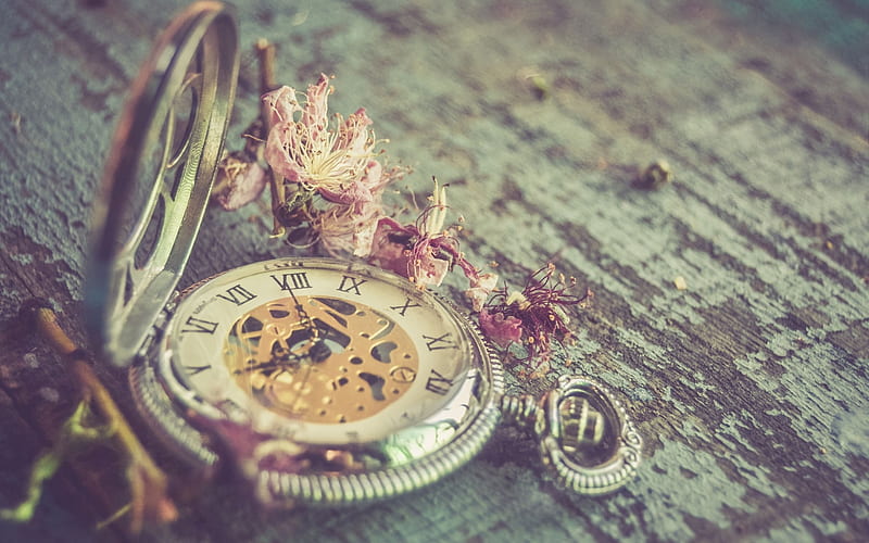 old pocket watches, time concepts, dried flowers, watches, old wooden boards, HD wallpaper