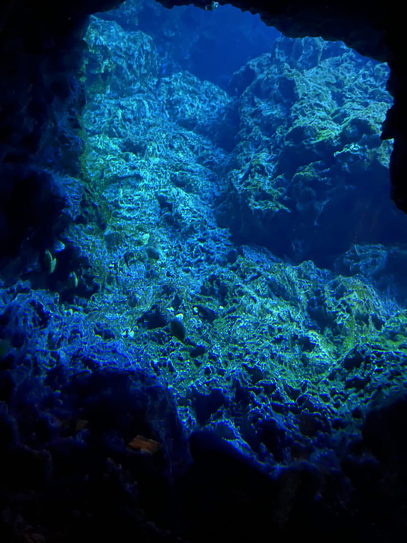 rocks, underwater world, water, sea, blue, HD phone wallpaper