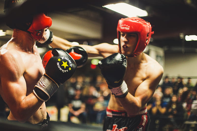 two man playing boxing, HD wallpaper