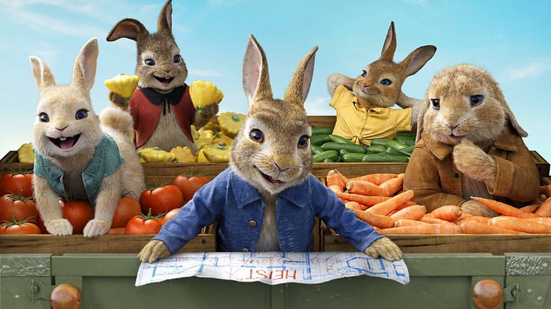Tiggy-Winkle Peter Rabbit Flopsy Rabbit Mopsy Rabbit Peter Rabbit 2 The Runaway, HD wallpaper