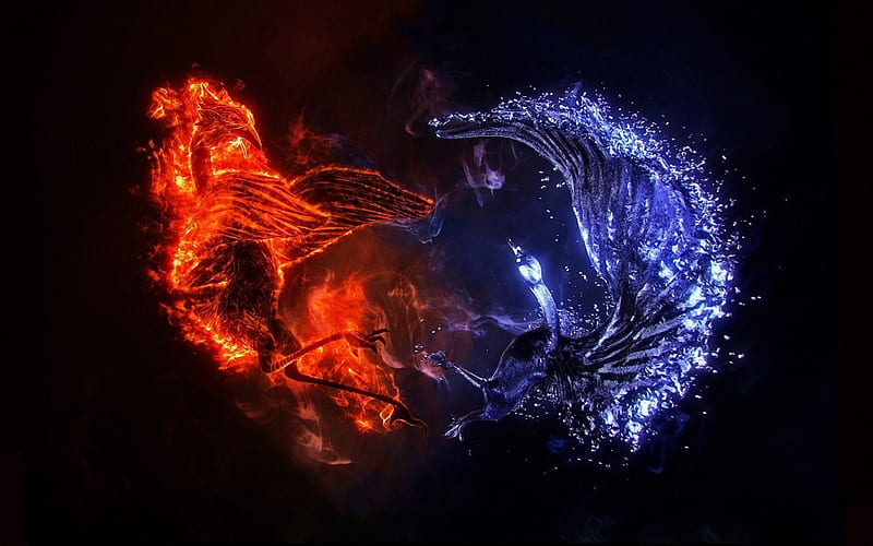 Ice phoenix and fire phoenix, ice, fire, water, phoenix, HD wallpaper